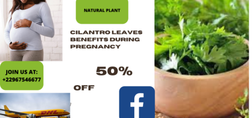 Cilantro Leaves Benefits During Pregnancy